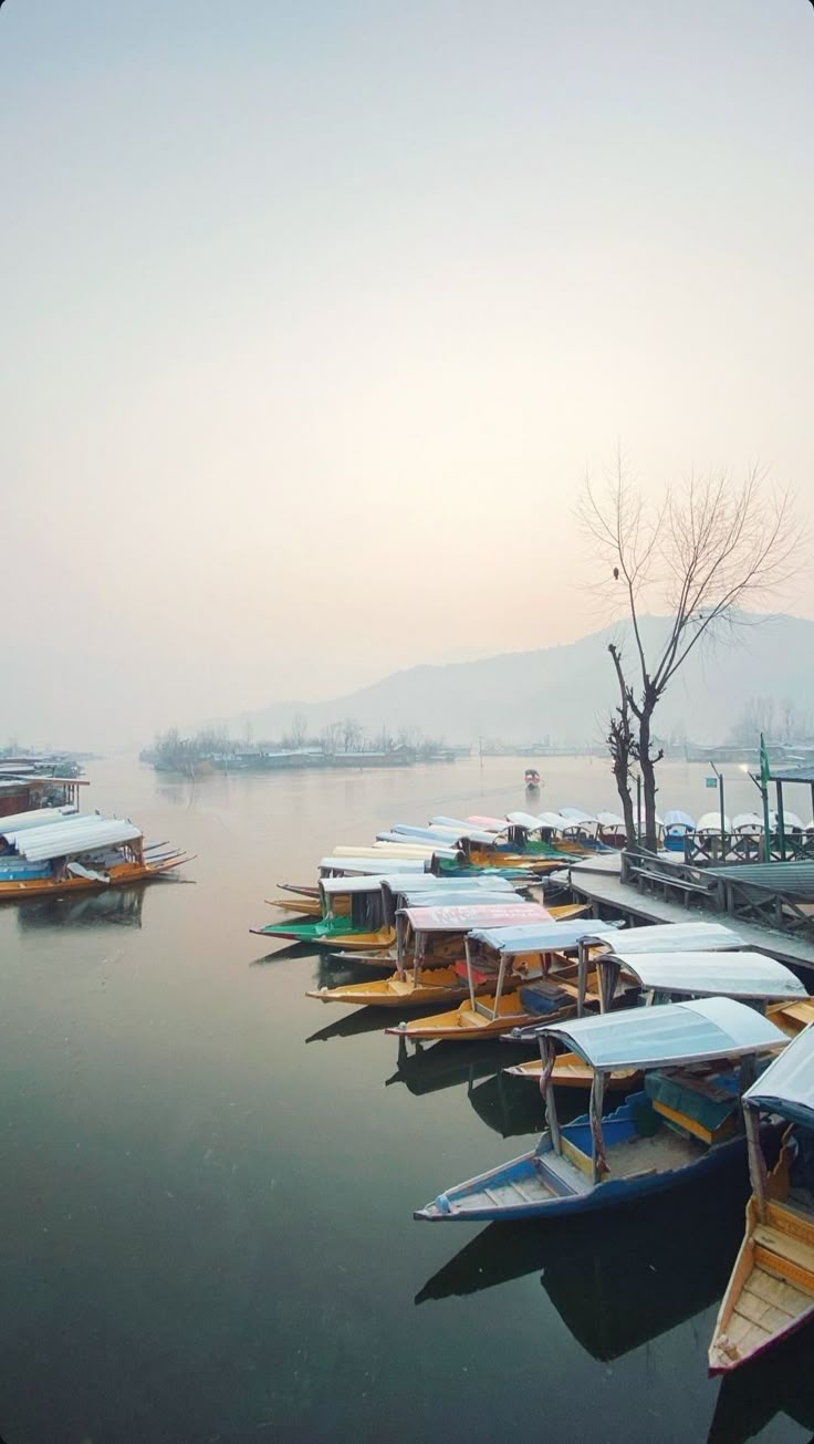 .Stay . Sightseeing .Camp Stay . Meals .Pick up & Drop